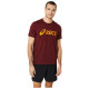 Asics Ανδρική κοντομάνικη μπλούζα Big Logo